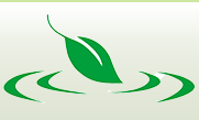 江西环球天然香料有限公司logo