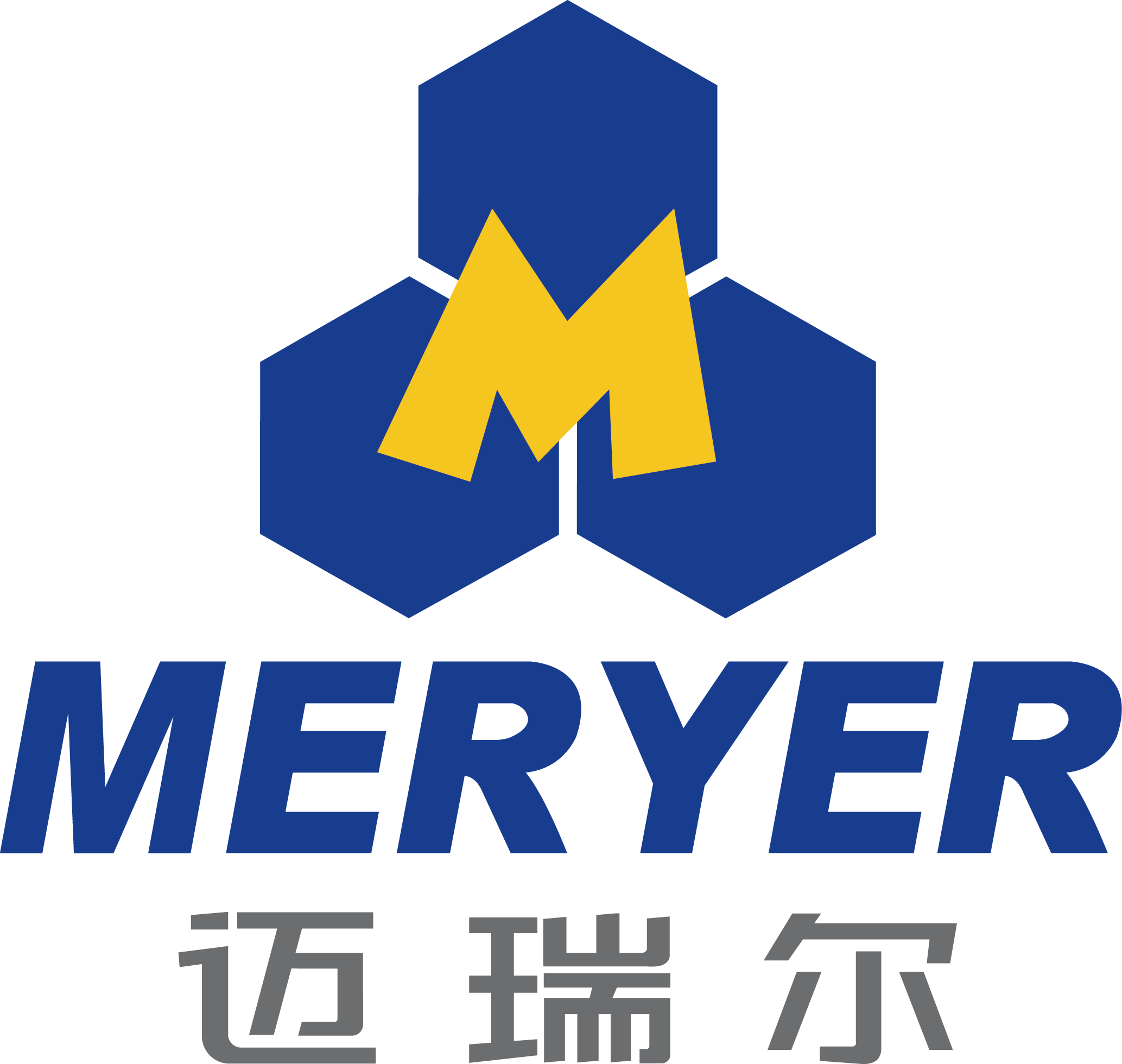 上海迈瑞尔生化科技有限公司logo