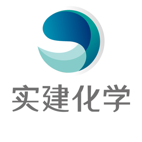 上海实建实业有限公司logo