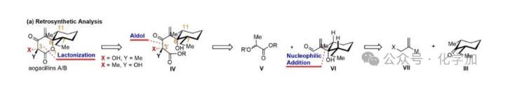 1765430755719381.png image.png