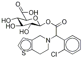 Clopidogrel Acyl Glucuronide