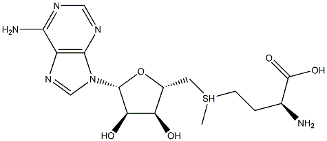 丁二磺酸腺苷蛋氨酸杂质19