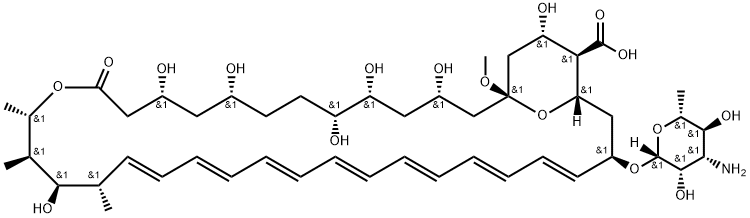13-O-Methylamphotericin B