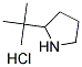 2-tert-butylpyrrolidine hydrochloride558478-78-7