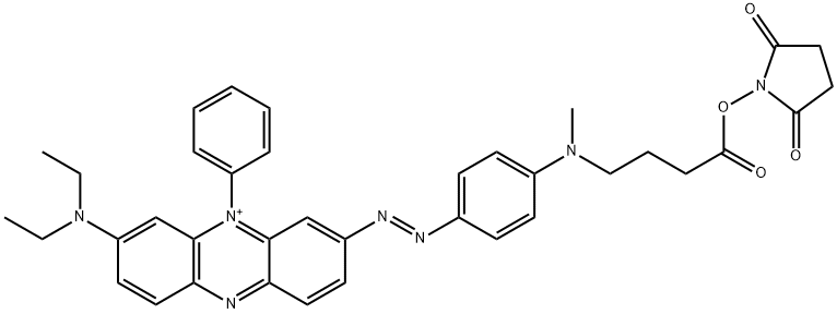 BHQ-3 琥珀酰亚胺酯