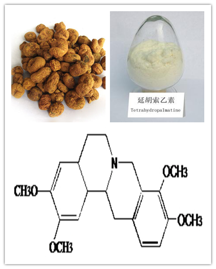 延胡索乙素