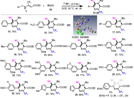 图片13.png